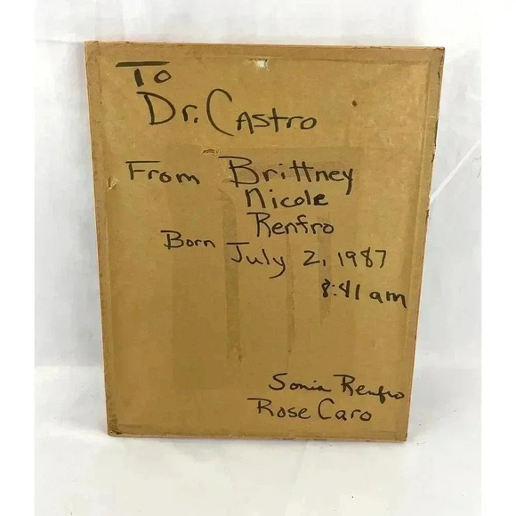 VTG Embroidery Bambi & Thumper Needlework Framed 80's MCM Wall Art 11.5"X14.5" - Picture 2 of 12